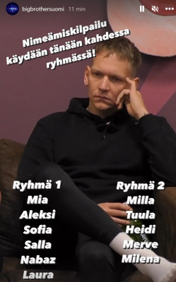 nimeämiskilpailu 3.jpg