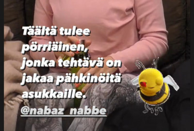 Pähkinäpörriäinen 1.jpg